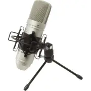 TM-80 Large Diaphagm Condenser Microphone,Silver