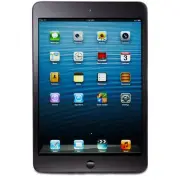 Apple iPad mini 16GB, Wi-Fi + 4G (Unlocked), 7.9in - Black & Slate