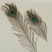 在飛比找蝦皮購物優惠-Replika孔雀羽毛合成孔雀羽毛棒複製品a級裝飾配件