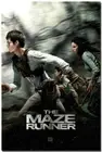 80688 Hot The Maze Runner Dylan OBrien Wall Print Poster US