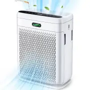 Air Purifiers for Home Large Room with Remote, Up to 2200 Sq Ft, H13 Hepa Dou...