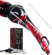 LEIAOLY Wine Aerator Pourer - Premium Aerating Pourer and Decanter Spout (Black) Halloween Christmas Presents for Father's Day