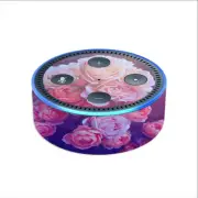 Skin Decal for Amazon Echo Dot (2nd gen) / Pink Roses
