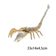 Halloween Horror Scorpion Skeleton Bone Skeleton Model Festival Decor Party