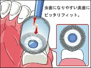 日本品牌【STB Higuchi】蒲公英360°無死角兒童牙刷