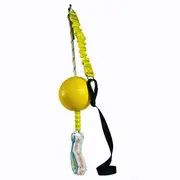 Home Alone Ball Toy