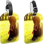 [WOSHJIUK] Luggage Tags,2 Pack Labels Suitcase Tags,Sunshine Black Dog,Luggage Tags Privacy Protection Travel Bag Tag