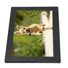 12in HD Digital Photo Frame Intelligent Remote Control Video Player Smart Pi Hot