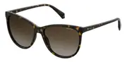 POLAROID-PLD 4066/S-086-5716-SUNGLASSES
