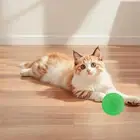 Pet Moonshine Ball, Light Up Moon Ball, Hyper Bouncy In Dark, Glow The Extr X4J8