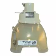 OEM PROJECTOR LAMP BULB FOR OPTOMA 4K500 BL-FU465A WU1500 BL-FN465B EIKI EK-800U