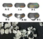 Dental Refill Sectional Contoured Matrices Matrix Ring Delta Wedges ledge Wege