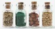 Dollhouse Miniatures 1:12 Scale Spice Seed Jars 4/Pk #IM65005