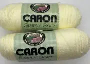 Caron Simply Soft Yarn "Off White" 2 Skeins #479
