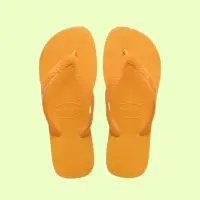 在飛比找momo購物網優惠-【havaianas 哈瓦仕】Havaianas 哈瓦仕 拖