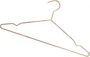 JOINPAYA Rose Gold Non-Slip Metal Hangers for Coats Hooks for Shirts Sweaters Dresses (Set of 10)