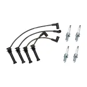 Bosch Ignition Leads + 4 x Denso Iridium Power Spark Plugs for Ford Focus LR