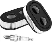 2PCS 593260 Air Filter 798452 334404 Lawn Mower Air Cleaner Cartridge, Replacement Filters and 1PC Spark Plug for 4247 5432 5432k 09P00 09P702 550E 500EX 550EX 625 575EX Series Engine