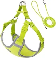 SMALL COMBINATION Nylon Dog Harness, Reflective Strips, Adjustable Straps, Bright Green, with Matching Lead (Lemon Yellow, S)