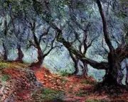 Group Of Olive Trees Bordighera Claude Monet Painting Paint By Numbers Kit DIY