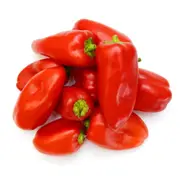 Capsicum - Snack Red F1 seeds
