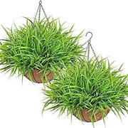 KHOYIME Artificial Hanging Plants with Basket 2PCS Fake Green Grass Baskets, Outdoor Faux Greenery Stems Hanging Decor UV Resistant Indoor Outside Decorations for Home Garden Porch Balcony Patio Yard