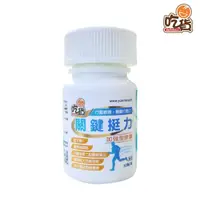 在飛比找momo購物網優惠-【吃貨】關鍵挺力加強型膠囊 30顆/瓶(關鍵成分-非變性二型