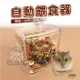 小寵壓克力自動餵食器 寵物鼠餵食盒 自動飼料罐 餵食碗 食盆 蜜袋鼯/兔子/刺蝟/松鼠/熊鼠/黃金鼠《亞米屋Yamiya》