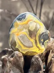 Bumblebee Jasper Freeform Pebble AAA+ : Inspiration : Intention 163g 111
