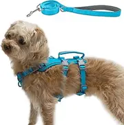 Wuffley Escape Proof Dog Harness and Leash Set, Lightweight Dog Harness with Lift and Assist Handle, No Pull Reflective Pet Vest for Small Medium Dogs, Ideal for Puppy Walking and Training (Blue, S)