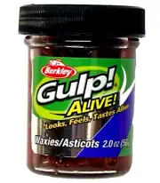 Berkley Gulp Alive! Waxies Red Wiggler 2.0oz Jar 1589480