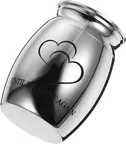 Box Pet Urn Earth Sympathy Urns for Human Ashes Photo Loss Shedding Mini Urns for Dogs Lockets Bandana Pee Grave Keepsake Licking Large Cat Remover Kit Silver Stainless Steel