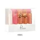 5 Color / Set Multi-use Silky Sponge Brush Face Contour Highlight Rouge Blushes