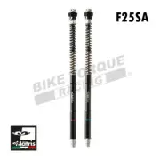 Matris F25SA Fork Cartridge Kit to fit Kawasaki ZX-6R 2007-2008