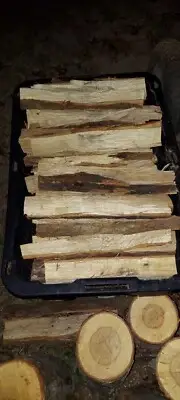 Fresh White Oak Wood Harvested From SC BBQ Cooking Grilling Smoker Fire Pit 10LB