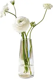 [Supercap] Glass Vase for Table Centerpieces, Modern Crystal Flower Vase, Tall Clear Glass Vases for Home, Office, Entryway Decorative, 8.66 inch (Clear, Small)