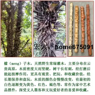 宏大檬子木老人實木質拐杖拐棍助/行器登山杖戶外根雕天然一體結實特價