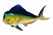 Hand Painted 12" Green Dolphin Mahi Mihi Replica Statue Figurine Sculpture B28G