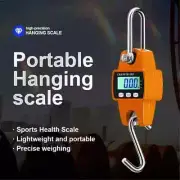 300kg Mini Crane Scale Portable LCD Digital Electronic Hook Hanging Scale