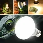 Lizard Heater Heat Lamp Turtle Halogen Bulb UVA Light Basking Light Reptile