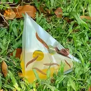 Slug Traps for Garden - 20Pcs Snail and Slug Beer Traps Slug Killer - Safe Pet Friendly Slug Pellets Alternative