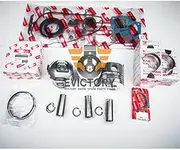 for yanmar 3D84-3 Overhauling kit Piston Ring Bearing Gasket kit + Water Pump + Valve Guide