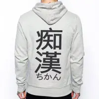 在飛比找Yahoo!奇摩拍賣優惠-痴漢Japanese-Geek#2金屬拉鍊連帽刷毛外套-灰色