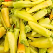 Chilli - Hungarian Yellow Wax Hot seeds