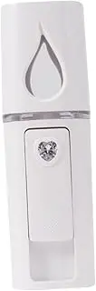 Nano Facial Sprayer Portable Steamer Face Mini Face Spray Instruments Handheld Nano Sprayer