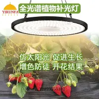 在飛比找Yahoo!奇摩拍賣優惠-補光燈多肉草莓月季蘭花植物補光燈仿太陽室內全光譜led綠植種