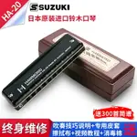 SUZUKI日本鈴木原裝進口HA-20全金屬口琴10孔專業布魯斯藍調口琴