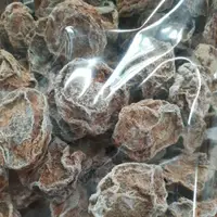 在飛比找蝦皮購物優惠-💥號外號外💥好吃的甜菊梅