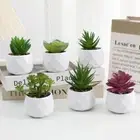 Evergreen Artificial Succulent Cactus Small Potted Plants Bonsai Plants Home