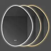 Irregular Oval LED Mirror, 3 Colors Dimmable, One Touch Smart Anti-Fog, Large Asymmetrical Bathroom Mirror, 50x70cm/60x80cm/70x90cm/75x100cm, Wall Mounted Makeup Mirror, Explosion Proof (Color : 3 Co